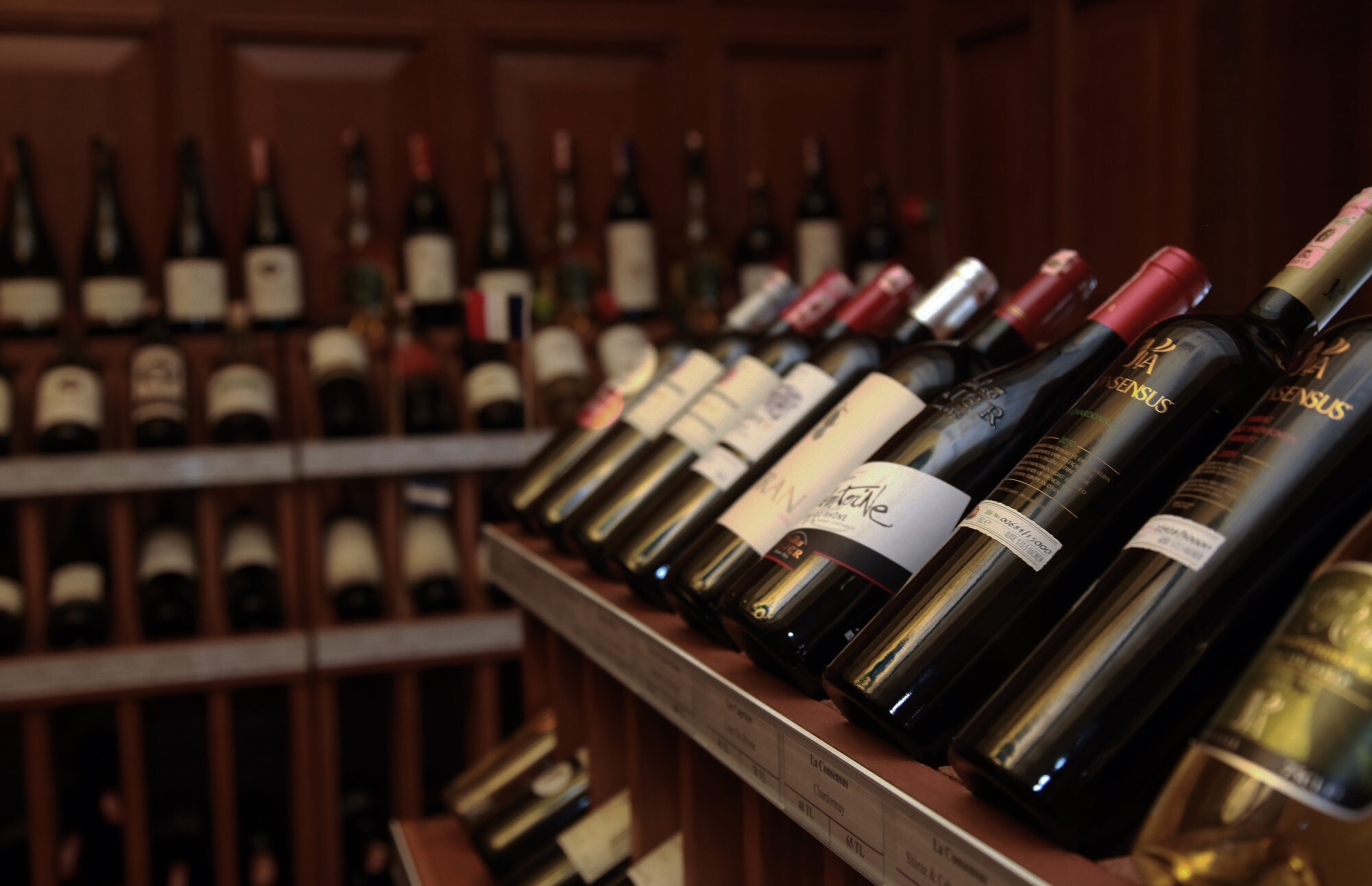 An array of various wine bottles on wooden shelves in a wine cellar