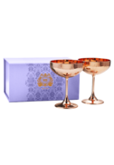 Absolut Elyx Copper Cocktail Coupe Gift Set (PROMO)-485612