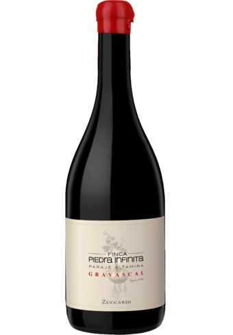 Zuccardi Finca Piedra Infinita Gravascal 2017-454937