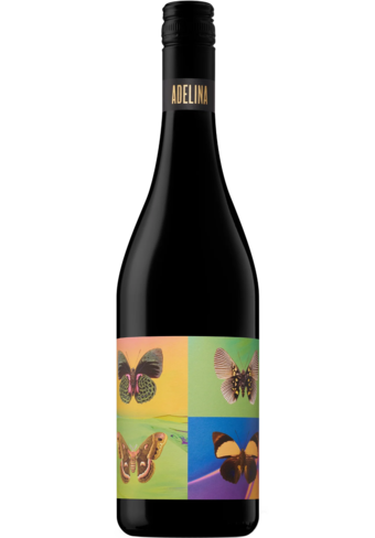 Adelina McLaren Vale Shiraz 2022 (Promo)-132174