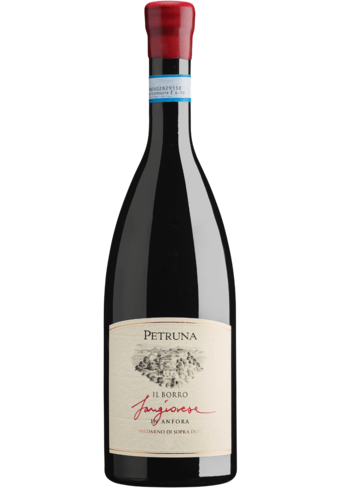 Il Borro Petruna in Anfora Sangiovese 2019-BP_115630