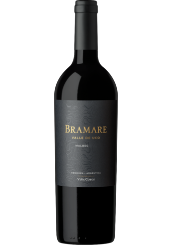 Vina Cobos Bramare Valle De Uco Malbec 2022-BP_138954