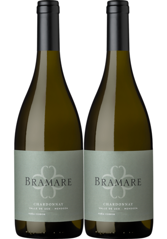 Vina Cobos Bramare Chardonnay Valle De Uco 2022 2-pack -145327