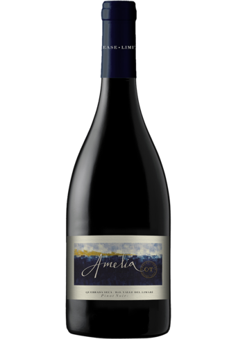 Amelia Quebrada Seca Vineyard Pinot Noir 2022-BP_127516