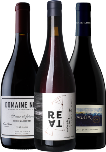 WW South American Pinot Noir 3-pack-BP_145505