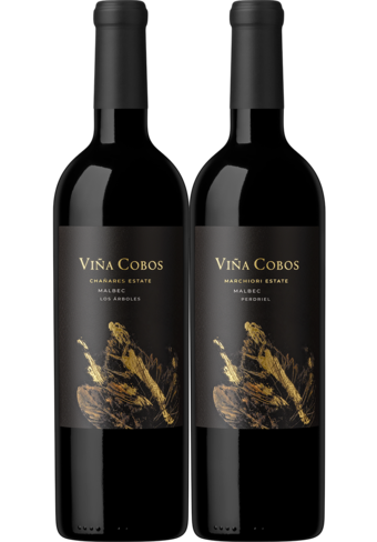 Vina Cobos Malbec Single Vineyard 2019 2-Pack-149765