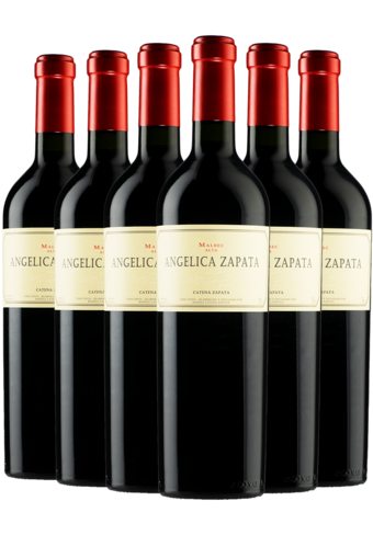 Angelica Zapata Malbec Alta 2020 6-pack-BP_311451