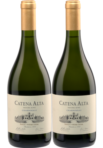 Catena Alta Chardonnay 2022 2-pack-311473