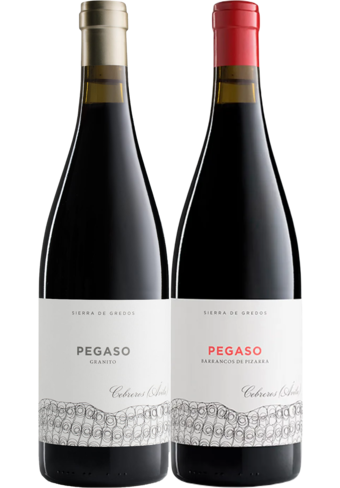 Pegaso Granito+Pizarra 2021 - Twin Pack-BP_310749