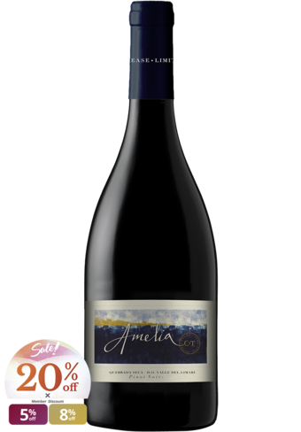 Amelia Quebrada Seca Vineyard Pinot Noir 2020-474372