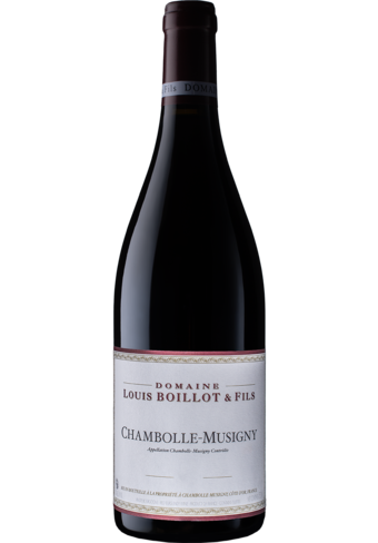 Louis Boillot Chambolloe Musigny 2021-BP_130185