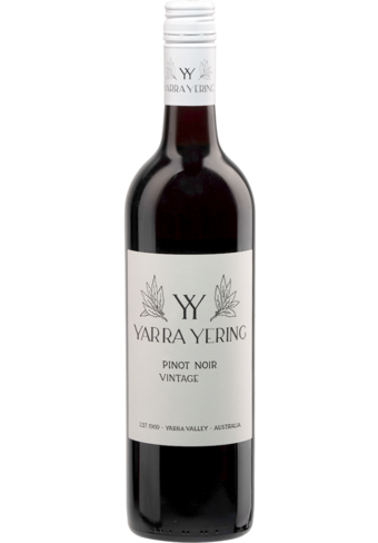 Yarra Yering Pinot Noir 2022 (Screw Cap) (2022 Winery of the Year, Halliday Wine Companion Awards)-135734