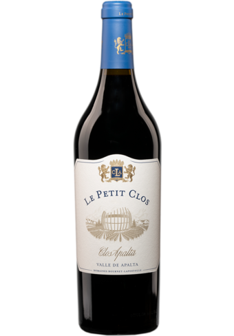 Clos Apalta Le Petit Clos 2019-106499