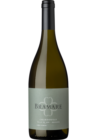 Vina Cobos Bramare Chard Valle De Uco 2022-BP_113600