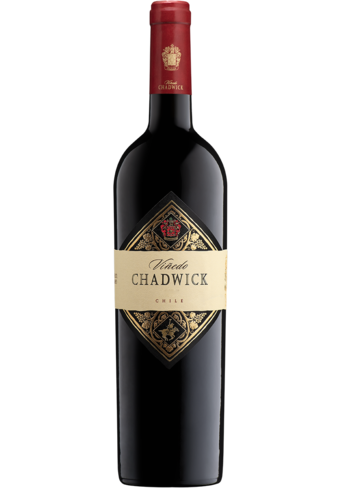 Vinedo Chadwick Vintage 2019-BP_470518