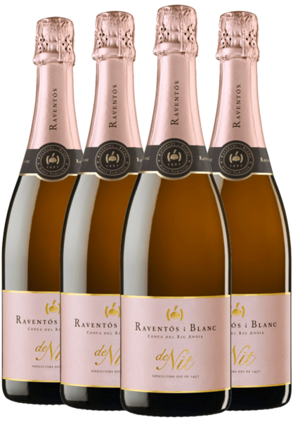 Buy Raventos I Blanc De Nit Rose 2020 4-Pack | Watson's Wine