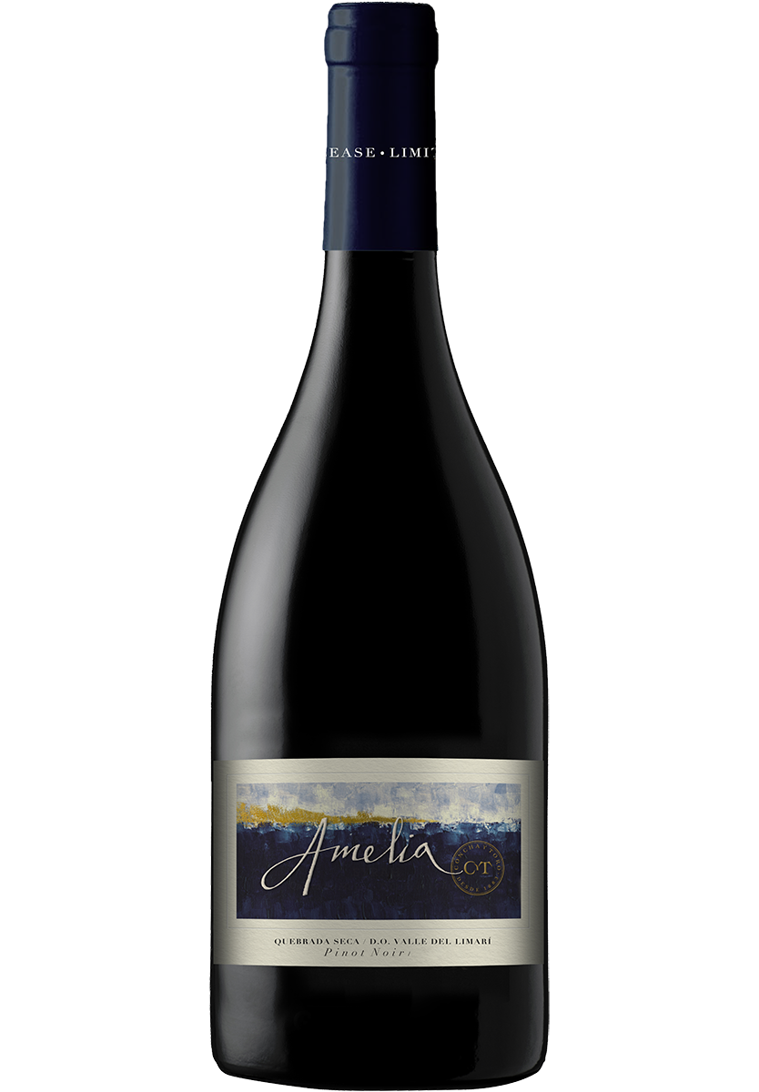 Amelia Quebrada Seca Vineyard Pinot Noir 2017 | Watson's Wine