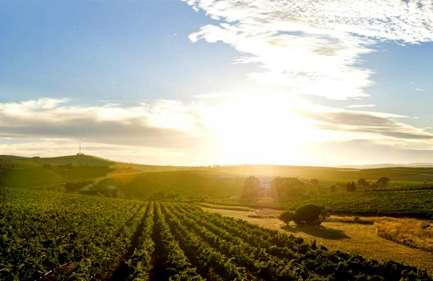 Clare Valley